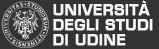 site: www.uniud.it